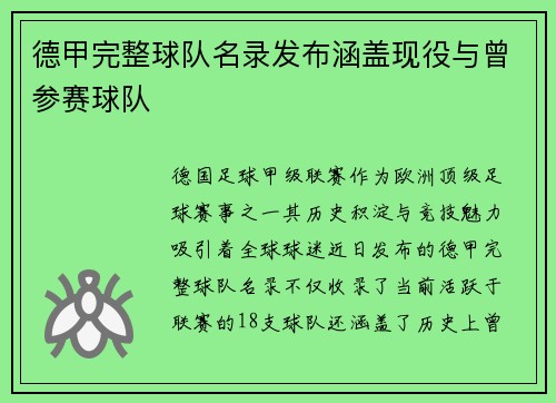 德甲完整球队名录发布涵盖现役与曾参赛球队