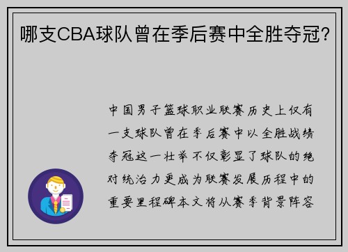 哪支CBA球队曾在季后赛中全胜夺冠？